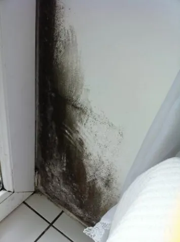 Bild: epasit auf Handwerker-Ausstellung in Schwäbisch Gmünd