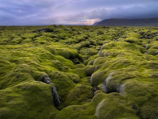 Fotoausstellung "LANDSUCHER" Realismus trifft Abstraktion 5.02.2010 - 3.04.2010 Bild: Fotoausstellung "LANDSUCHER" Realismus trifft Abstraktion 5.02.2010 - 3.04.2010