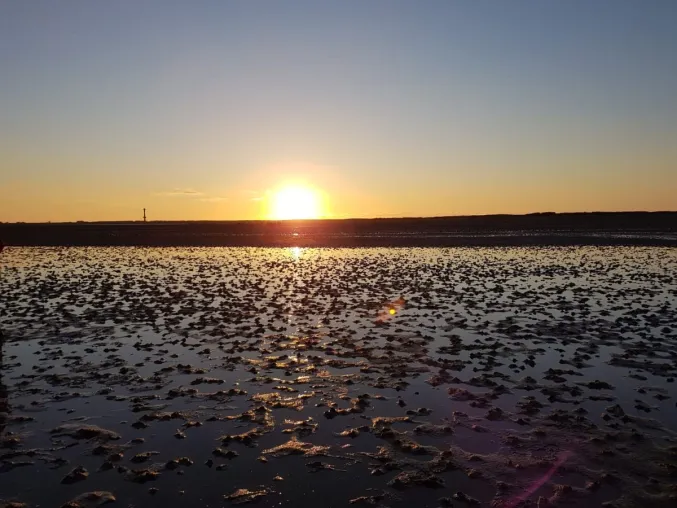 Pathfinding AG: Zukunftslösungen: Webinare zeigen neue Wege für die deutsche Nordseeküste auf Bild: Pathfinding AG: Zukunftslösungen: Webinare zeigen neue Wege für die deutsche Nordseeküste auf