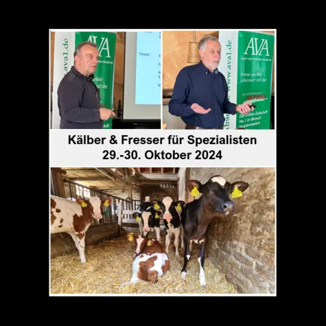 Bild: Die Prinzessinnen der Milchviehbetriebe? AVA-Update gemeinsam für Tierärzte und Landwirte in Ulm