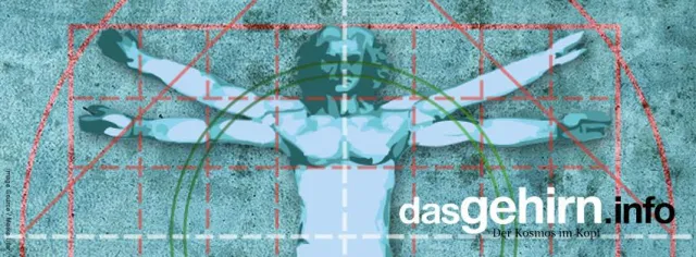 Schönheit? Reine Kopfsache sagt die Neuroästhetik Bild: Schönheit? Reine Kopfsache sagt die Neuroästhetik