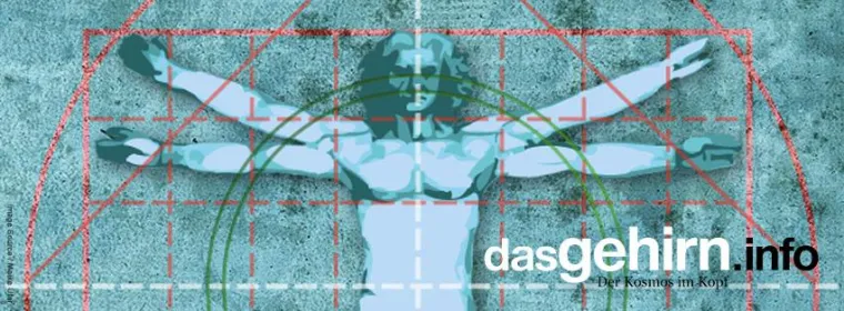 Schönheit? Reine Kopfsache sagt die Neuroästhetik Bild: Schönheit? Reine Kopfsache sagt die Neuroästhetik