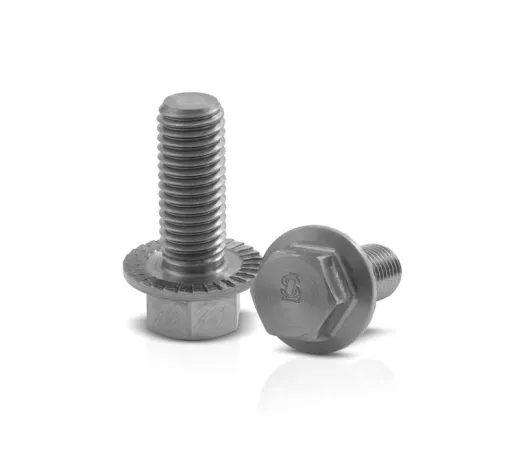 Bild: Sperrzahn-Schrauben ein voller Erfolg - Lück Schrauben auf der Fastener Fair 2013