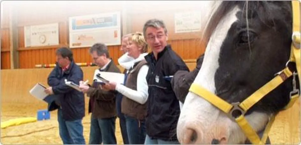 HORSE & SOUL Seminar: Vision x Potenzial = Unternehmer-Spirit