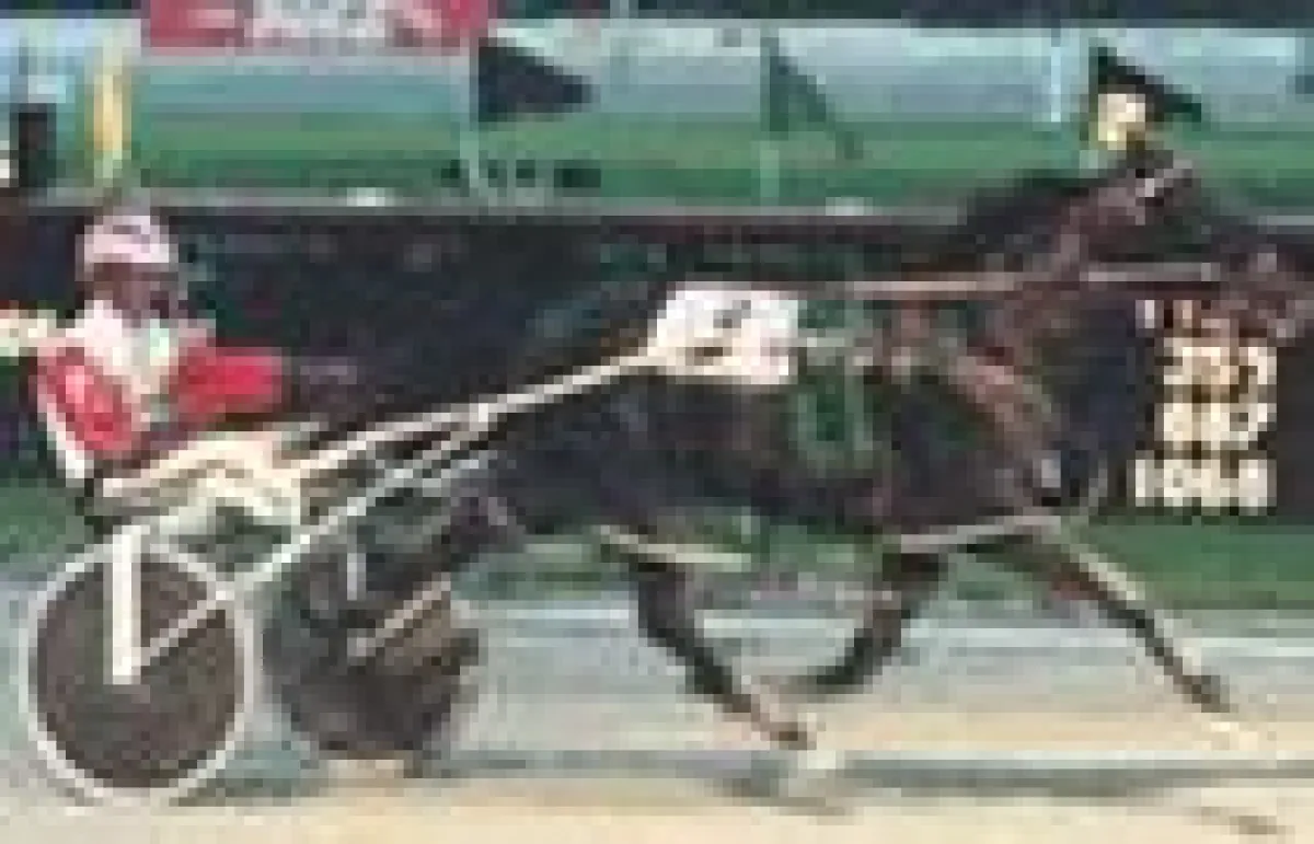 The Big M - Live im Video auf www.magnabet.com