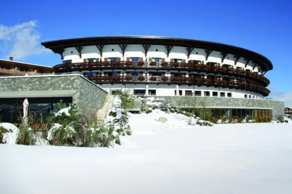 Bild: Auf 16 Pfoten durch den Schnee