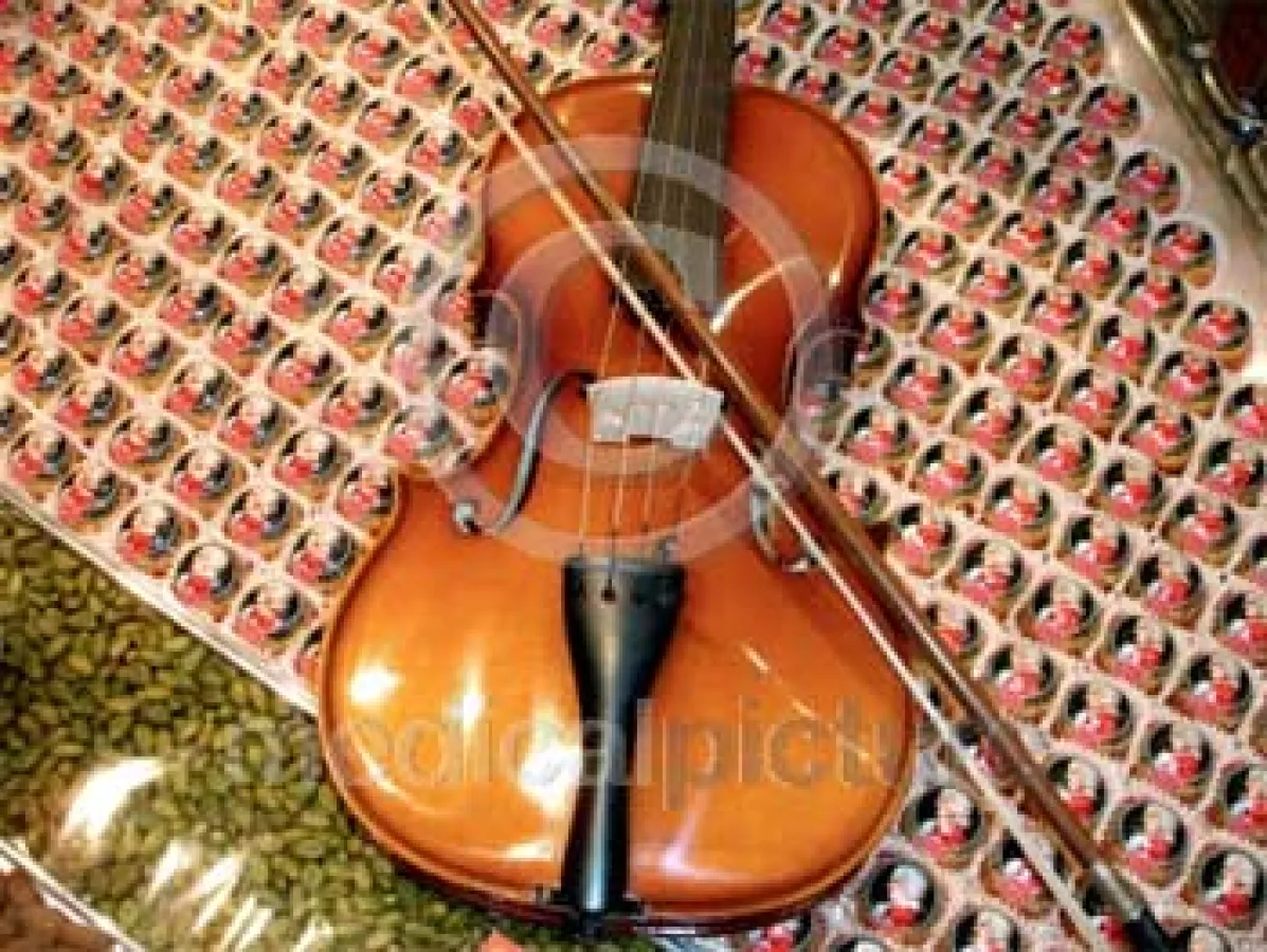 Mozartkugeln mit Violine, ©medicalpicture/aes