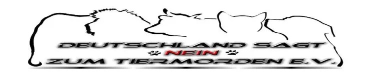 Bild: Pressemitteilung - Public Shelter in Giurgiu - Vertrag zur Kooperation eingegangen