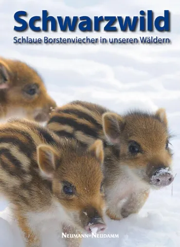 Bild: Neu im Verlag J. Neumann-Neudamm: "Schwarzwild"