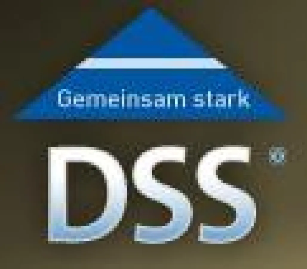 Logo DSS AG
