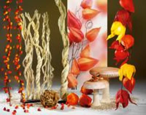 Bild: Woerner - Der Natur auf der Spur: Holz ist Trend im Herbst 2012