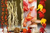 Bild: Woerner - Der Natur auf der Spur: Holz ist Trend im Herbst 2012