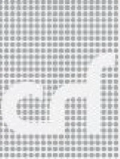 Bild: CRF präsentiert zum Start der Hannover Messe die TOP-Arbeitgeber für Ingenieure 2009