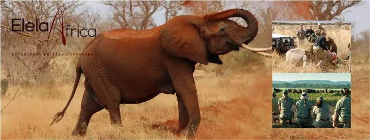 Vom Urlaubs Ranger zum Botschafter für Natur- und Artenschutz in Südafrika Bild: Vom Urlaubs Ranger zum Botschafter für Natur- und Artenschutz in Südafrika