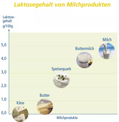 Bild: Laktoseintoleranz – Volkskrankheit oder Modeerscheinung?