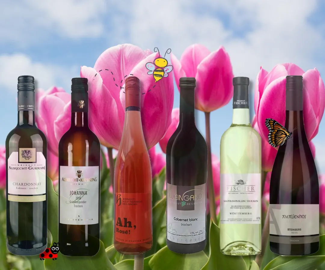 6 Winzer präsentieren die Weinvielfalt aus Heilbronn in einem Weinpaket.