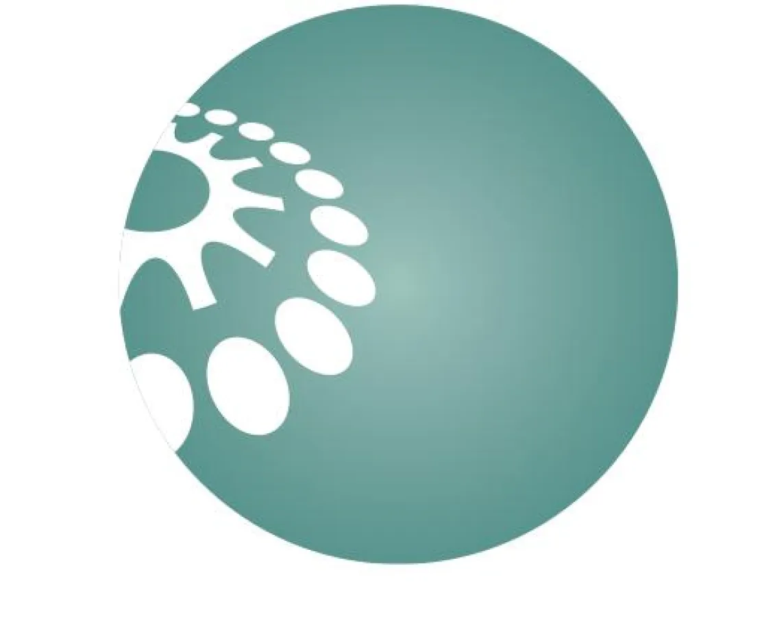 König Consulting Logo