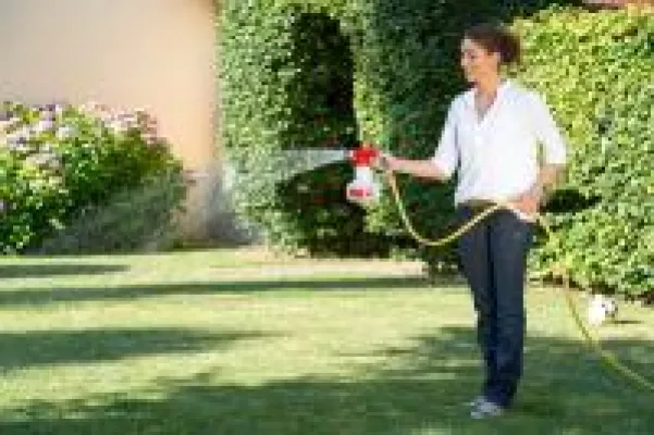 Bild: So bekämpfen Sie den Gartenlaubkäfer mit biologischen Mitteln