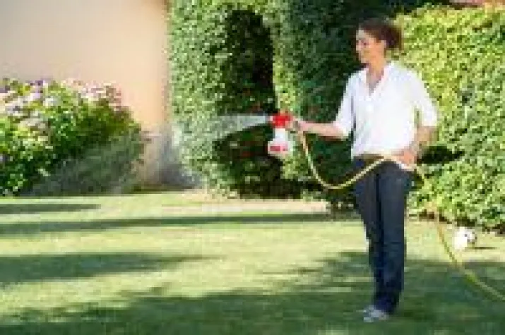 So bekämpfen Sie den Gartenlaubkäfer mit biologischen Mitteln Bild: So bekämpfen Sie den Gartenlaubkäfer mit biologischen Mitteln