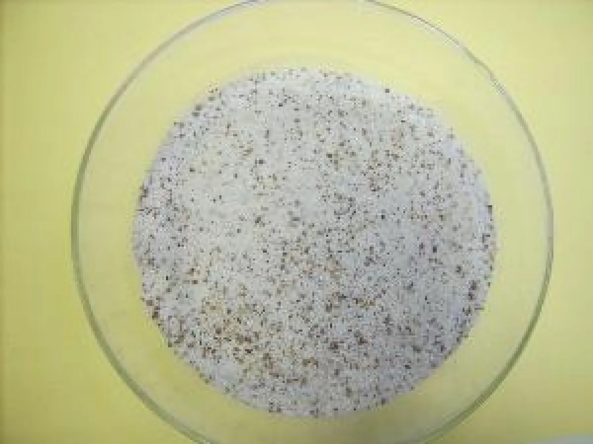 LactoPlus ProActive verbessert die Gesundheit und Fruchtbarkeit der Hochleistungskuh