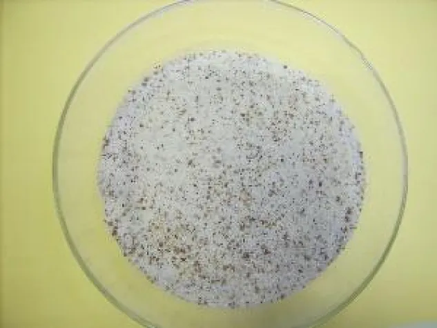 Nur gesunde Kühe machen Spaß Bild: Nur gesunde Kühe machen Spaß