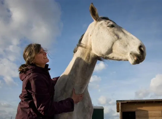 Bild: Männer sensibel für Druck und Erwartungen von Frauen