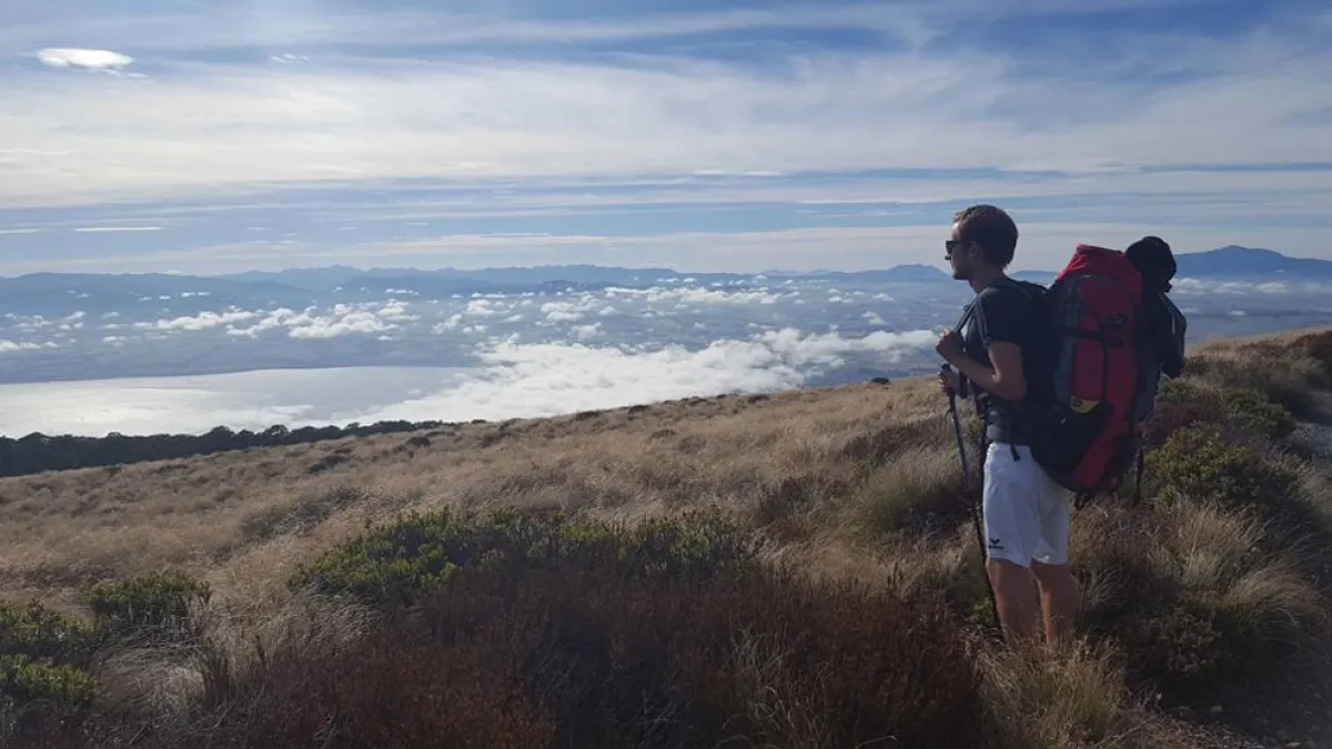 Mit oder ohne Agentur zur Auslandszeit