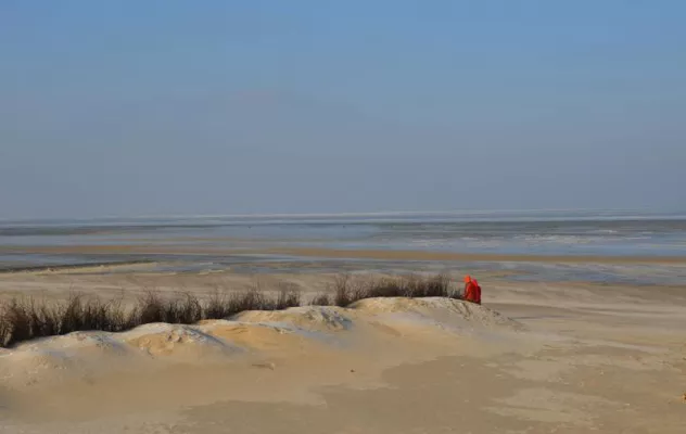Bild: Nordseefrische mit Jungbrunnen-Effekt