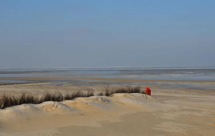 Bild: Nordseefrische mit Jungbrunnen-Effekt