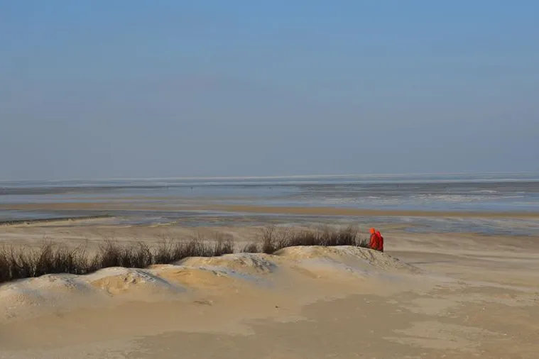 Nordseefrische mit Jungbrunnen-Effekt Bild: Nordseefrische mit Jungbrunnen-Effekt