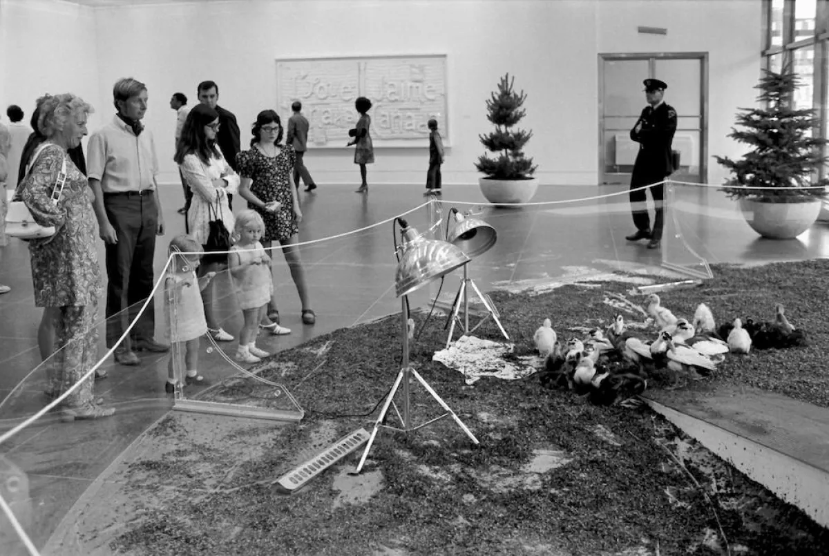 Joyce Wieland, True Patriot Love, National Gallery of Canada, Ottawa 1971. Foto: Arnold Matthews