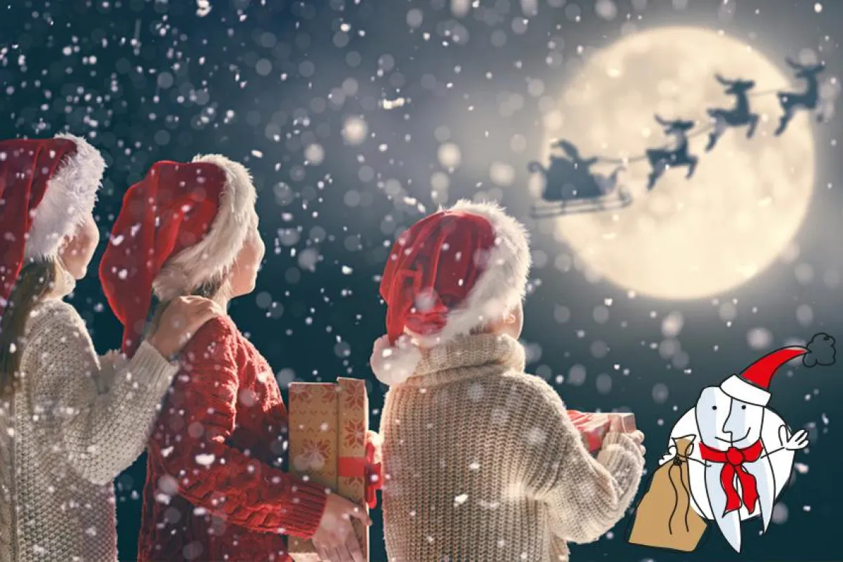 Frohe Weihnachten! fotolia©Konstantin Yuganov