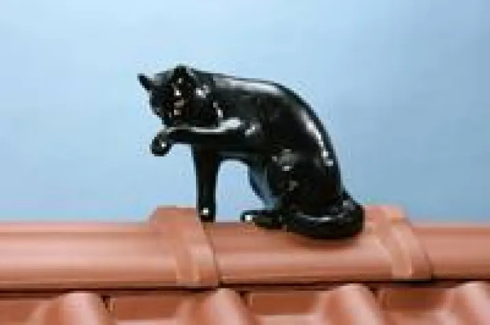 Bild: Von Farben, Füchsen und Fabelwesen