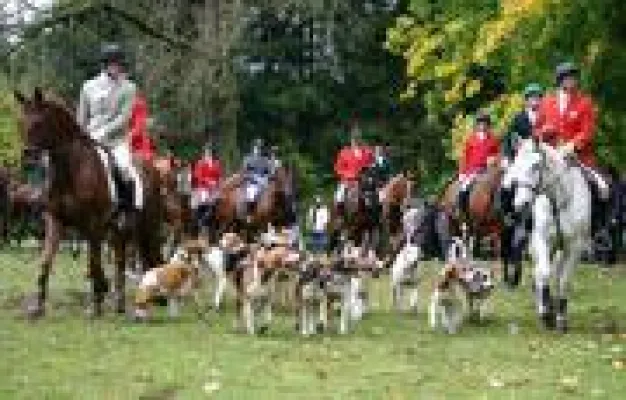 Bild: Hubertus-Reitjagd im Weserbergland