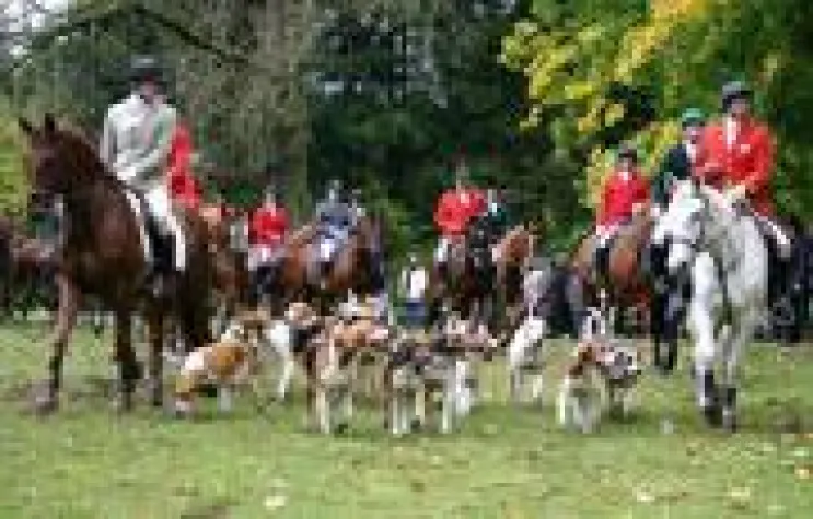 Hubertus-Reitjagd im Weserbergland Bild: Hubertus-Reitjagd im Weserbergland