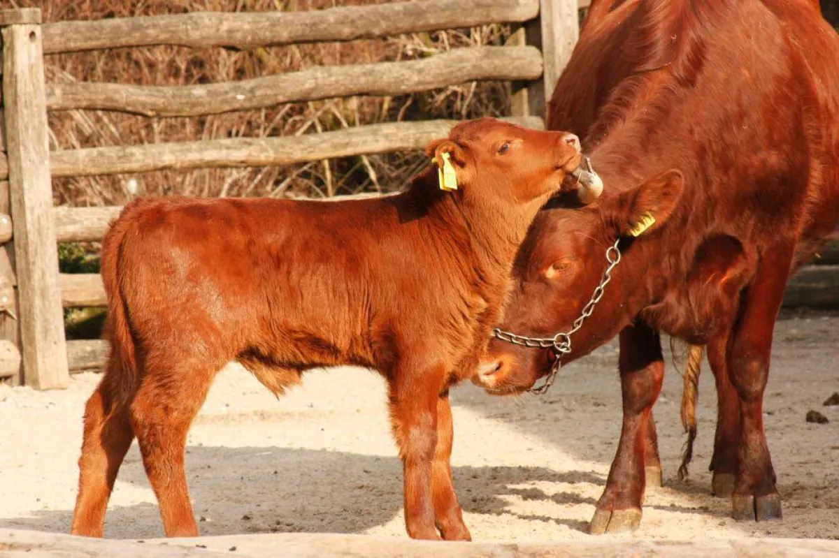 Helge genießt die Sonnenstrahlen mit Mutter Irma
