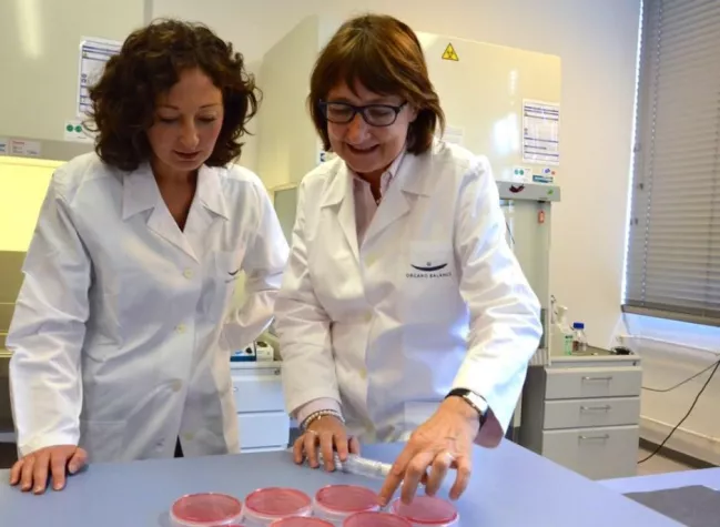 Grünen-Chefin informiert sich über Chancen der Biotechnologie Bild: Grünen-Chefin informiert sich über Chancen der Biotechnologie