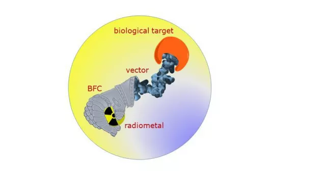 Bild: Radioactive Metal Complexes for Tumour Diagnosis and Therapy