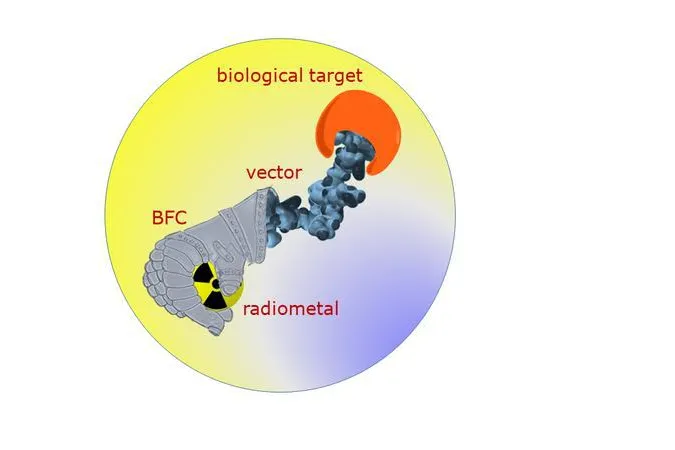 Radioactive Metal Complexes for Tumour Diagnosis and Therapy Bild: Radioactive Metal Complexes for Tumour Diagnosis and Therapy