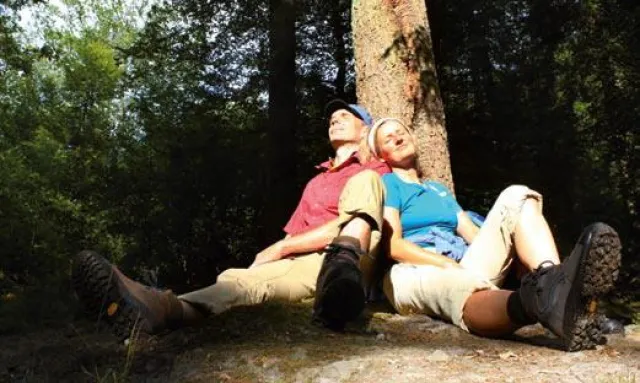 Pilgern im Weserbergland: Der Weg ist das Ziel Bild: Pilgern im Weserbergland: Der Weg ist das Ziel