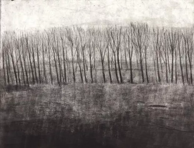 Claudia Berg - Aus dem Mansfelder Land - Neue Kaltnadelradierungen in der galerie carstensen (Hamburg) Bild: Claudia Berg - Aus dem Mansfelder Land - Neue Kaltnadelradierungen in der galerie carstensen (Hamburg)