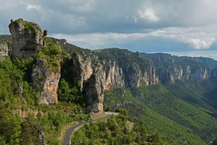 Bild: Jede Tour ein Unikat: Seltene Orchideen auf DUMA Naturreisen entdecken