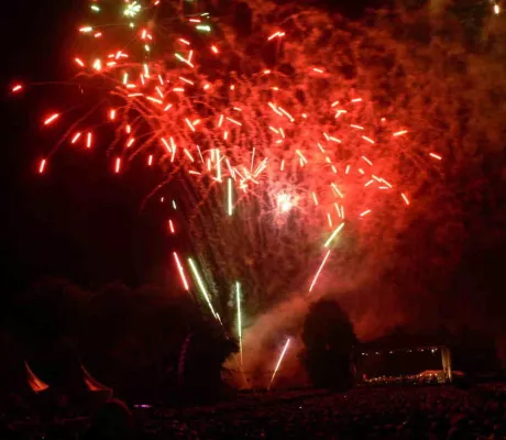 Bild: „Feuerblumen und Klassik Open Air 2009“ im Britzer Garten