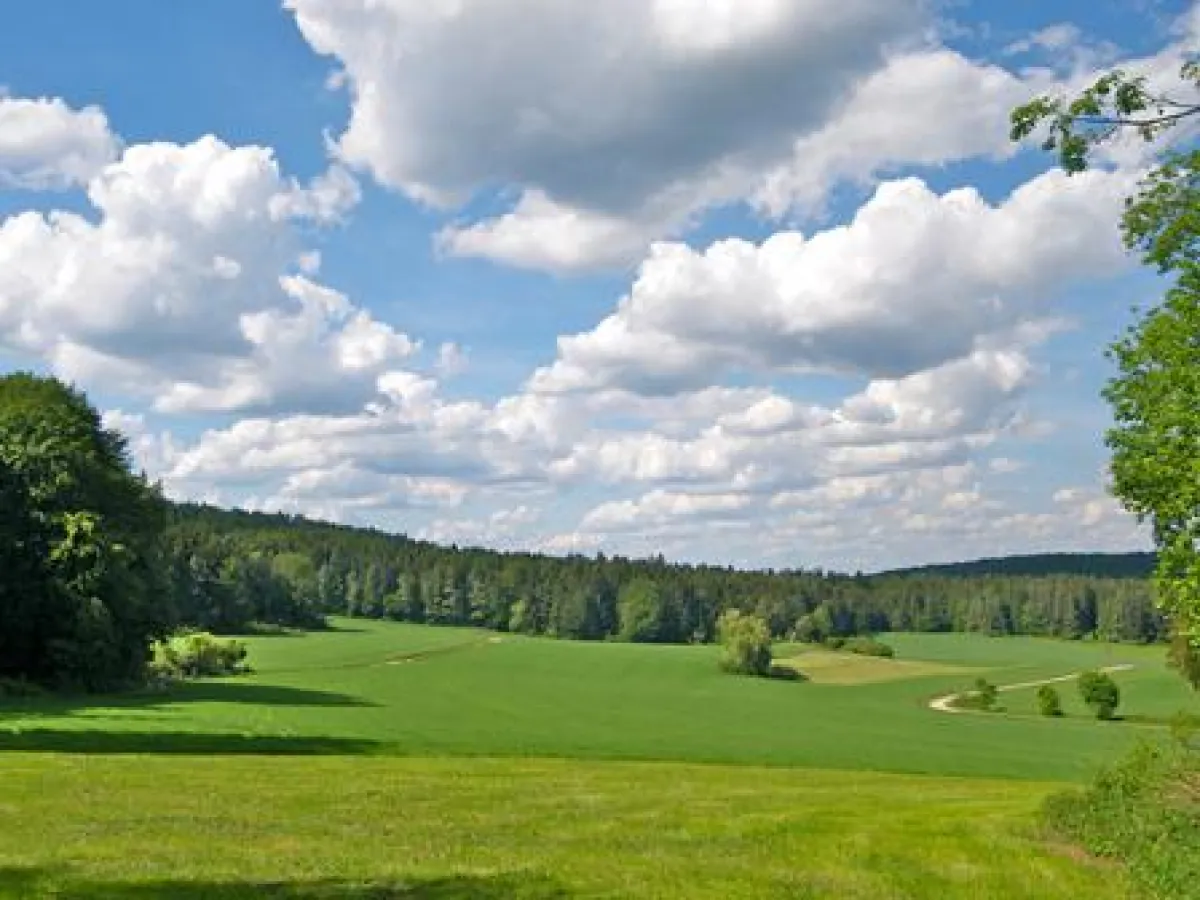 Im Birgland (Evi Steiner-Böhm)