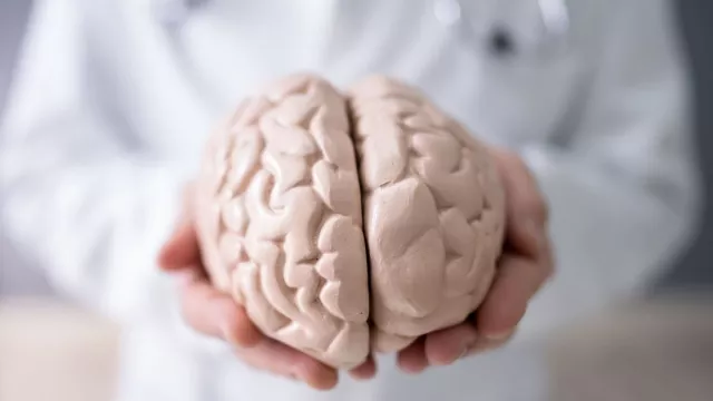 Bild: Jens Schwamborn: Mit Mini-Brains gegen Parkinson