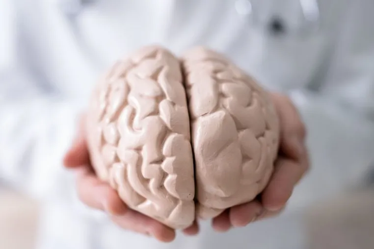 Bild: Jens Schwamborn: Mit Mini-Brains gegen Parkinson