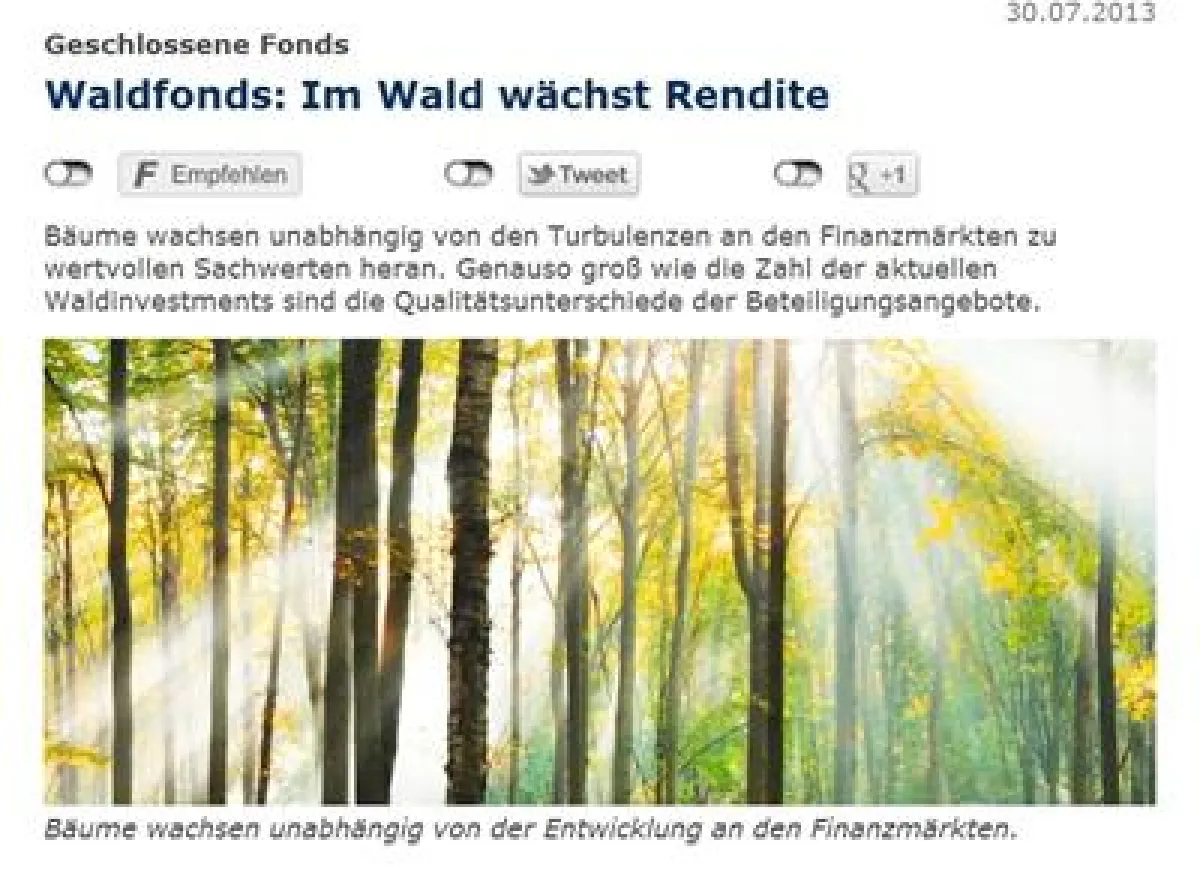 Cash Magazin charakterisiert Waldfonds