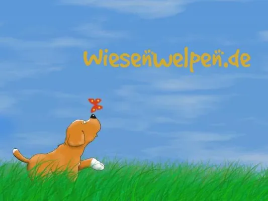 Bild: Wiesenwelpen gehen online