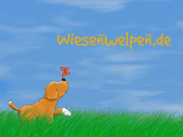 Bild: Wiesenwelpen gehen online