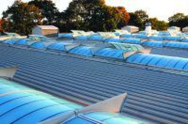 Bild: Multitalent ganz oben